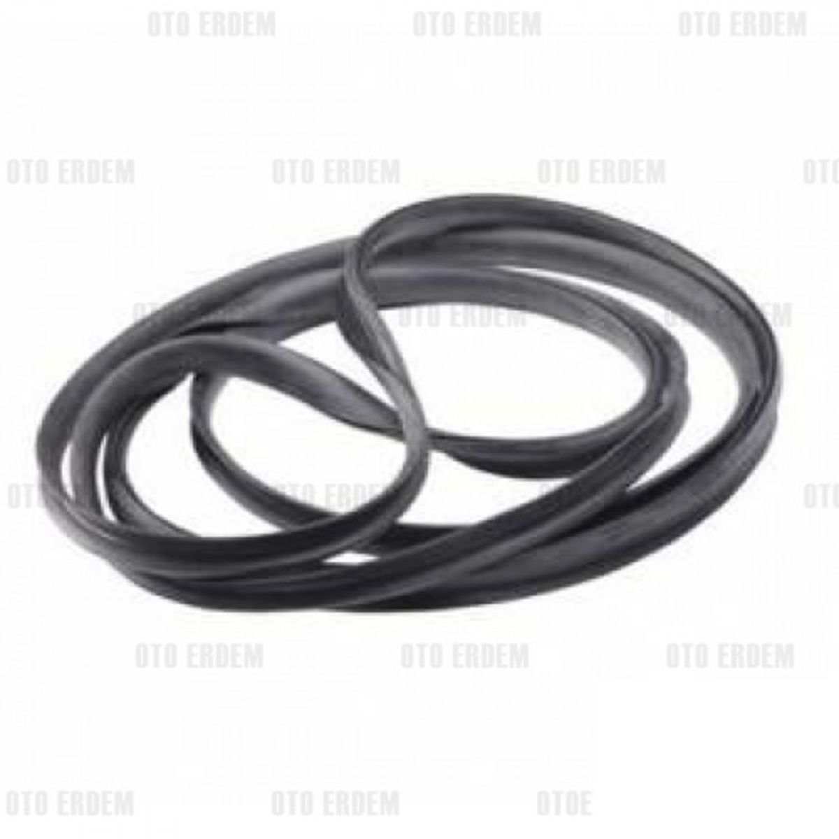 Cam Lastiği Arka 10041 R12 Ts Segmansız 7702256090 /