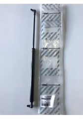 Arka Cam Pistonu 47517738 N11.4